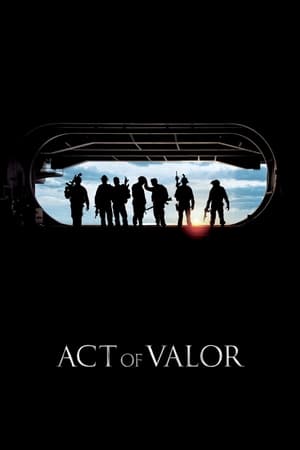 Act of Valor (2012) Dual Audio | Hindi Full Movie BluRay [1.1GB]