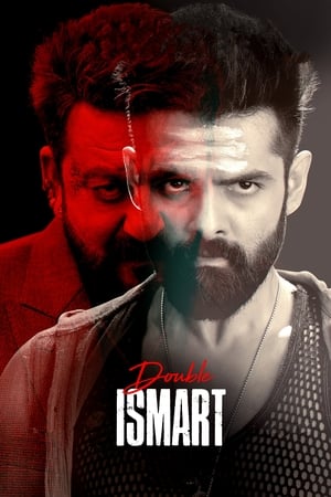 Double iSmart 2024 CAMRip