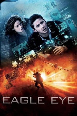 Eagle Eye (2008) Dual Audio | Hindi Full Movie BluRay [1.3GB] ESubs