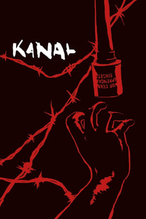 Kanal 2015 Dual Audio | Hindi Full Movie UnCut HDRip [1.3GB]