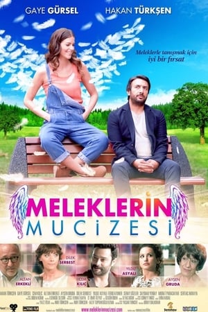 Meleklerin mucizesi (2014) Dual Audio | Hindi Full Movie Web-DL [600MB]