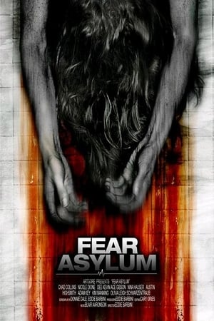 Room 33 (2009) Dual Audio | Hindi Full Movie DVDRip [770MB]
