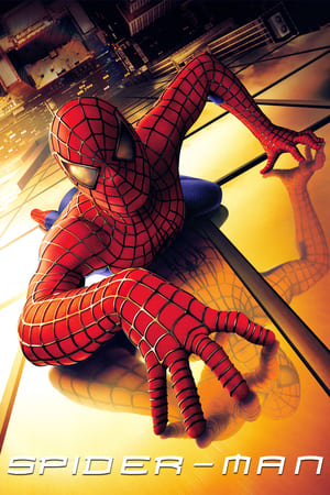 Spider-Man (2002) Dual Audio | Hindi Full Movie BluRay 370MB