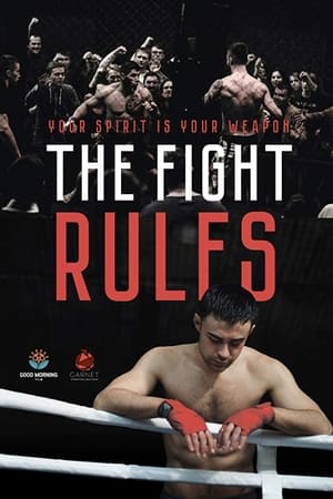 The Fight Rules 2017 Dual Audio | Hindi Full Movie WebRip 260MB