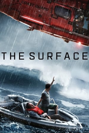 The Surface (2014) Dual Audio | Hindi Full Movie Web-DL [800MB]