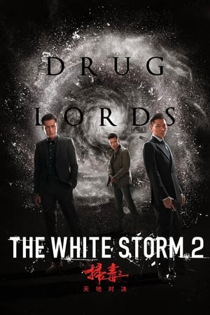 The White Storm 2: Drug Lords (2019) (Org) | Hindi Full Movie HDRip 300MB